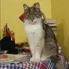 Отзыв от Кира Глебова